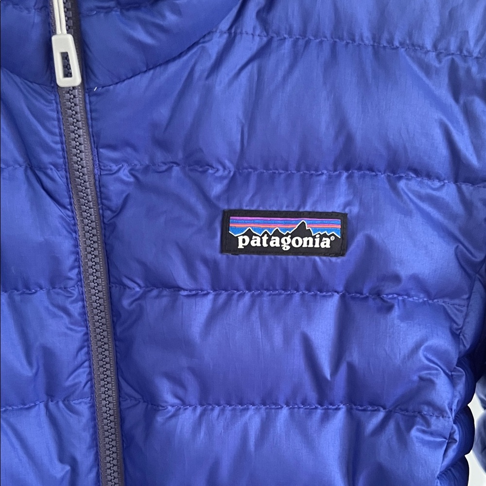 Patagonia Royal Blue Quilted Jacket - Picture 2 of 5